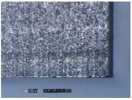 superdryconic.jpg (11068 �o�C�g)